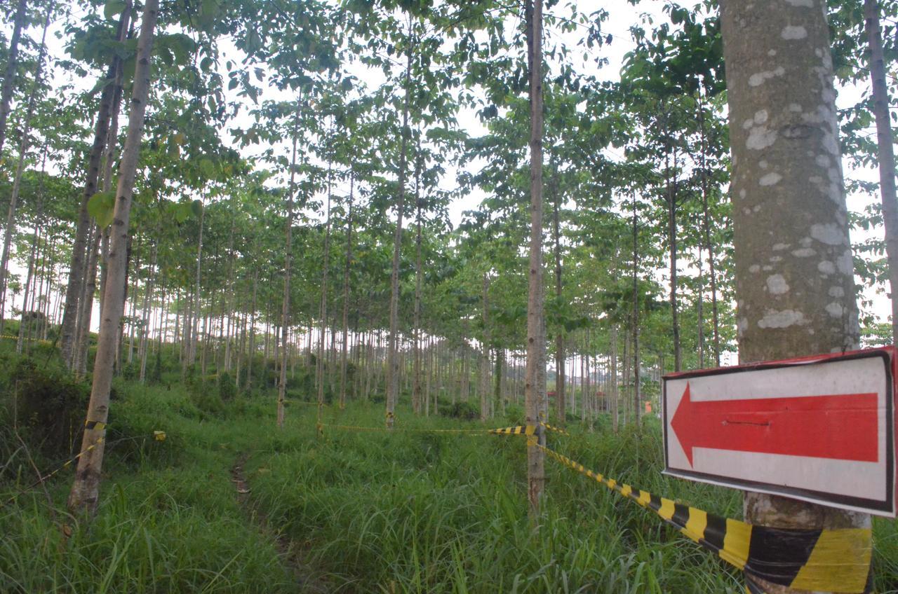Ibis Budget Cikarang Festival Bekasi Kültér fotó
